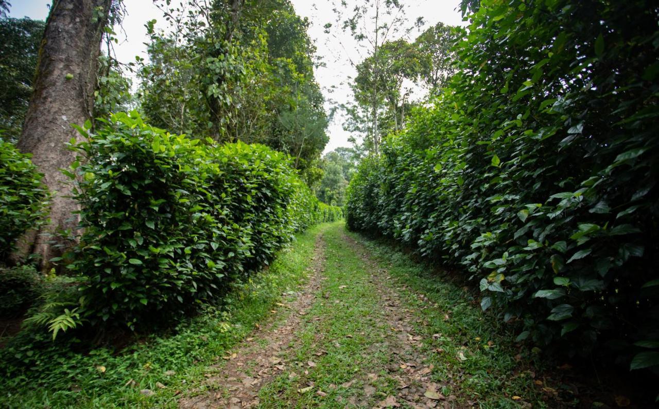 Thekkady Kalarickal Heritage Bungalow Vandanmedu Экстерьер фото